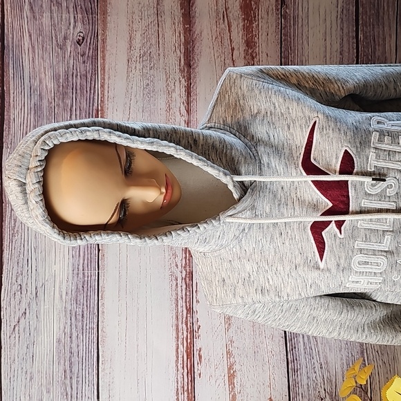 HOLLISTER CALIFORNIA GRAY UNISEX LONG SLEEVE PULLOVER HOODED SWEATSHIRT - Picture 4 of 15